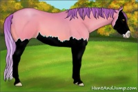Horse Color:Watercolor Brown Pearl Splash