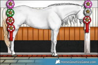 Horse Color:Buckskin Varnish 