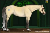 Horse Color:Buckskin Dun