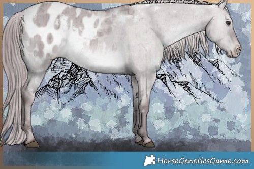 Horse Color:White Spotted Chocolate Grullo Chinchilla Appaloosa Rabicano Brindle 