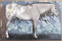 Horse Color:White Spotted Chocolate Grullo Chinchilla Appaloosa Rabicano Brindle 