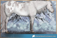 Horse Color:White Spotted Chocolate Grullo Chinchilla Blanket Rabicano Brindle 