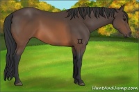 Horse Color:Brown 
