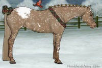 Horse Color:White Spotted Liver Red Dun Snowcap 