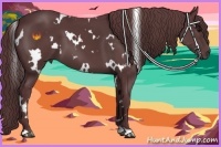 Horse Color:White Spotted Chocolate Black