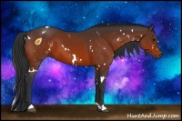Horse Color:White Spotted Brown 