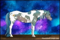 Horse Color:Watercolor White Spotted Bay Tobiano Varnish 