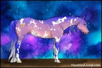 Horse Color:Watercolor White Spotted Bay 