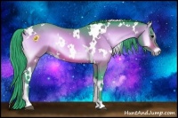 Horse Color:Watercolor White Spotted Bay Onyx