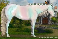 Horse Color:Smoky Creme Ice Appaloosa
