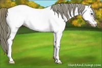 Horse Color:Liver Chestnut Mushroom Near Fewspot 