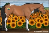 Horse Color:Bay Tobiano 