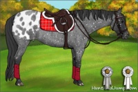 Horse Color:Blue Roan Snowflake Varnish