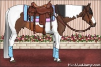 Horse Color:Bay Tobiano 