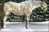 Horse Color:Plaid  White Spotted Liver Red Dun 