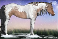 Horse Color:Bay Dun Tobiano 