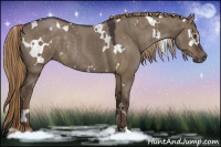 Horse Color:White Spotted Liver Red Dun Rabicano 