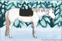 Horse Color:Smoky Grullo Splash Tobiano Blanket Rabicano 