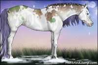 Horse Color:Painted White Spotted Brown Onyx Splash 