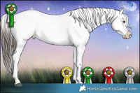 Horse Color:Liver Red Dun Appaloosa 