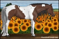Horse Color:Bay Tobiano 