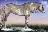 Horse Color:White Spotted Silver Grullo Onyx 