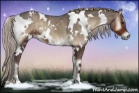 Horse Color:White Spotted Silver Blue Onyx 
