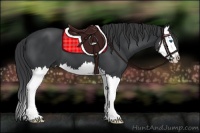 Horse Color:Black Splash 