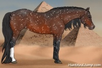 Horse Color:Bay Snowflake Varnish 