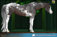 Horse Color:White Spotted Brown Mushroom Tobiano 