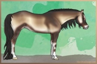 Horse Color:Liver Red Onyx 