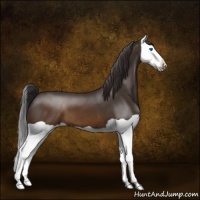 Horse Color:Buckskin Splash 