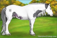 Horse Color:Brown Roan Splash Tobiano 