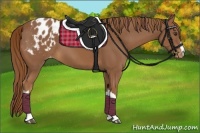 Horse Color:Chestnut Blanket 