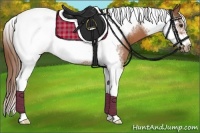 Horse Color:Chestnut Tobiano Frame 