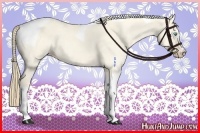 Horse Color:Perlino Dun Tobiano