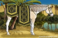 Horse Color:White Spotted Amber Cream Champagne Appaloosa 