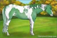 Horse Color:Watercolor Liver Chestnut Sabino Tobiano 