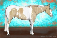 Horse Color:White Spotted Chocolate Palomino Ice Dun Splash Tobiano 