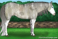 Horse Color:Chocolate Palomino Ice Dun Sabino Splash