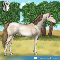 Horse Color:Chocolate Buckskin Pearl Dun Brindle