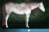 Horse Color:White Spotted Chocolate Brown Chinchilla Dun Sabino Brindle 