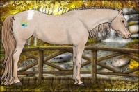 Horse Color:Red Roan Varnish 