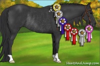 Horse Color:Black Rabicano 
