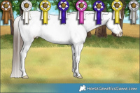 Horse Color:Grullo Appaloosa Brindle 