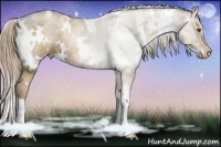 Horse Color:White Spotted Liver Chestnut Ice Pearl 
