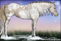 Horse Color:White Spotted Liver Chestnut Ice Pearl Rabicano 