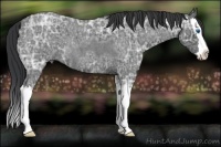 Horse Color:Blue Ice Roan Splash