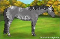 Horse Color:Smoky Blue Ice Roan