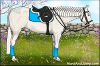 Horse Color:Cremello Ice 